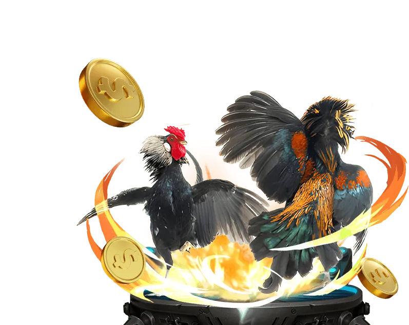 Cấu trúc hoa hồng 79 King Win